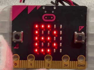 マイクロビットでチーム歩数競争を実行している様子