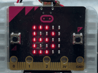 10秒勝負！ボタンで金魚すくいをmicro:bitで動かしているようす